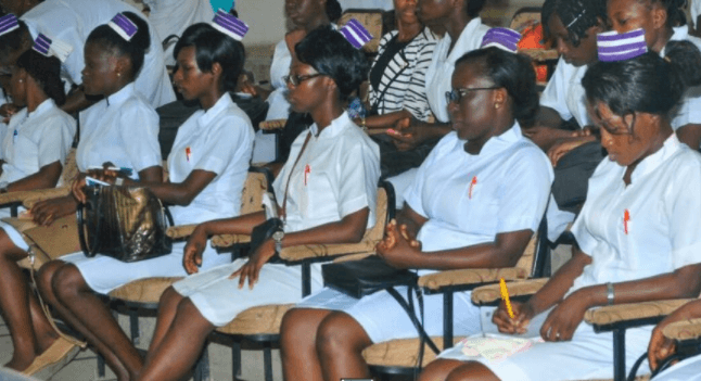schools of nursing in nigeria and their school fees