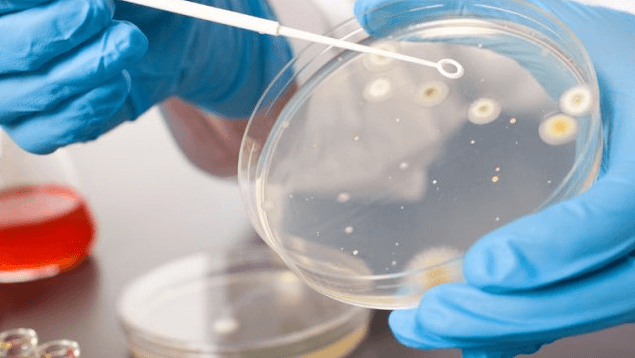 microbiologist salary in nigeria