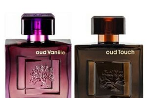 Oud Touch Perfume Prices in Nigeria (December 2023)