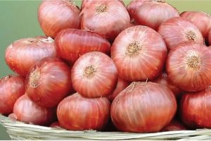 Prices of Onions in Nigeria (April 2024)