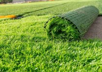 Cost of Artificial Grass in Nigeria (January 2022)