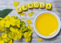 Canola Oil Prices in Nigeria (January 2023)