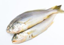 Croaker Fish Carton Prices in Nigeria (March 2024)