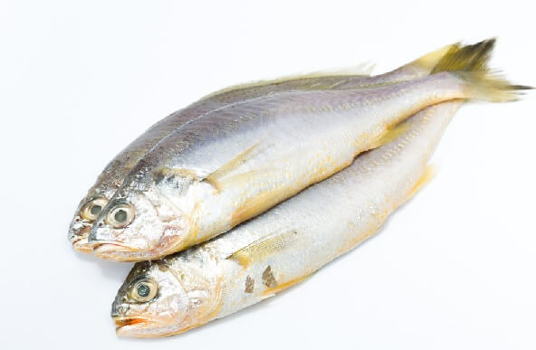 Croaker Fish Carton Prices in Nigeria