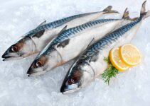 Mackerel Fish Carton Prices in Nigeria (February 2023)
