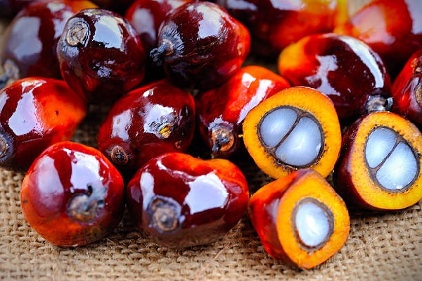 10 Places to Buy Palm Oil Cheap in Nigeria