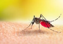 Best Mosquito Killers in Nigeria (March 2024)