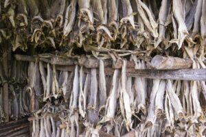 Where to Buy Stockfish Cheap in Nigeria (March 2024)
