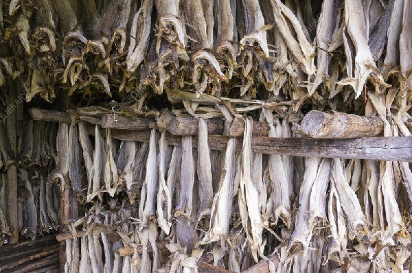 Where to Buy Stockfish Cheap in Nigeria